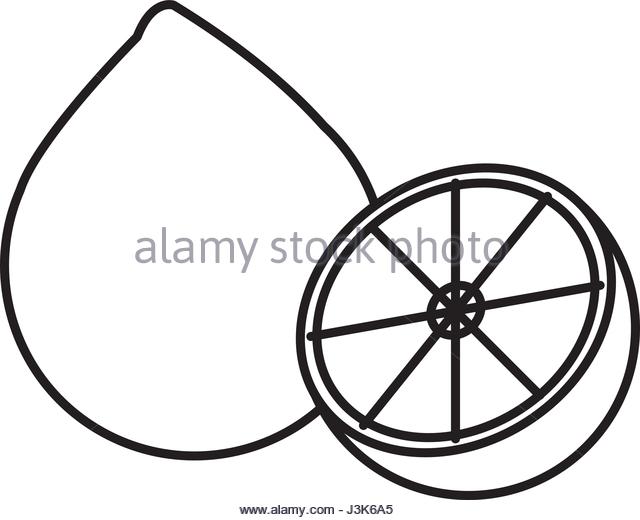 640x520 Fruit Line Drawing Stock Photos Amp Fruit Line Drawing Stock Images