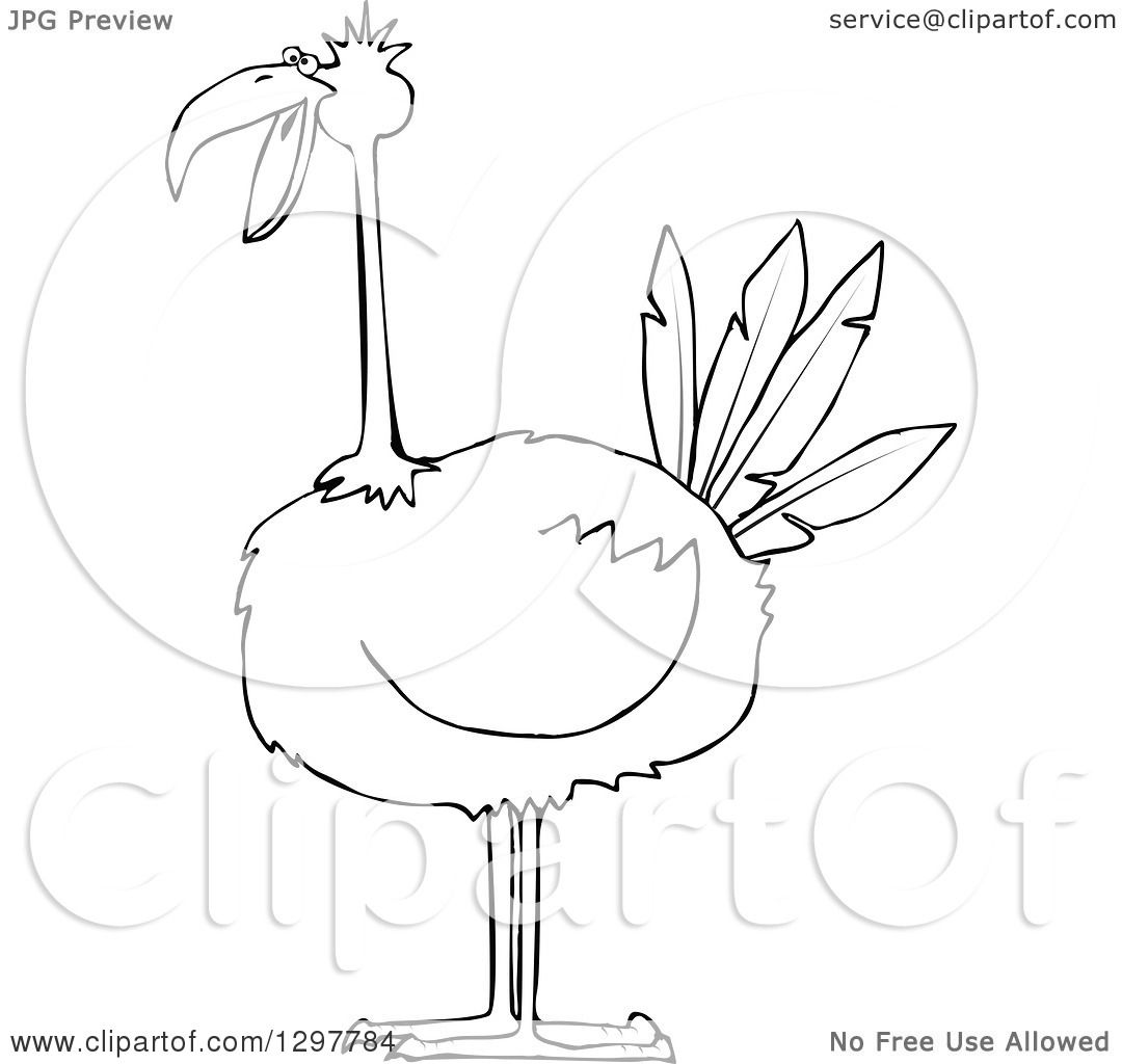 1080x1024 Clipart Of A Black And White Big Bird