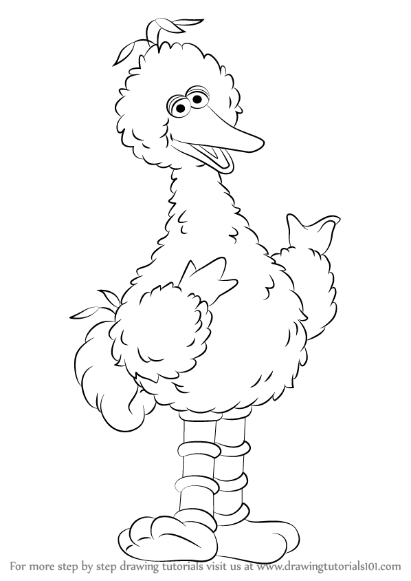 598x844 Learn How To Draw Big Bird From Sesame Street (Sesame Street) Step
