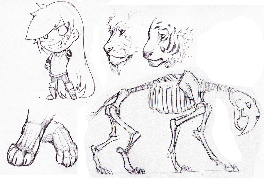 900x607 Big Cat Sketches And Random By Lwyn