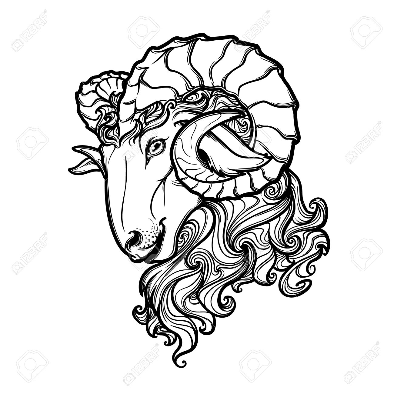 1300x1300 Side View Of A Ram Head With Big Twisted Horns. Intricate Hand