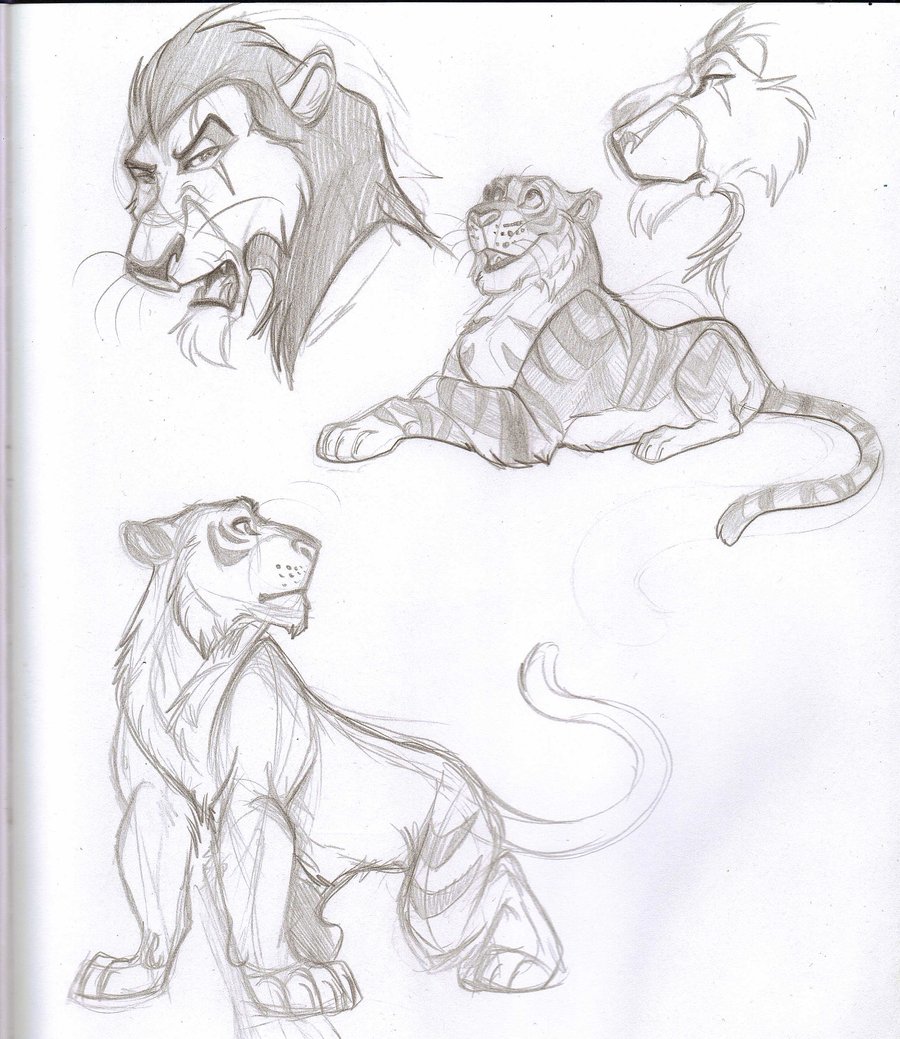 900x1039 Big Cat Sketches By Ifus