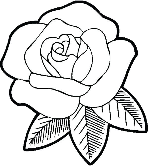 600x670 Rose Coloring Books And Big Flower Coloring Pages Big Beautiful