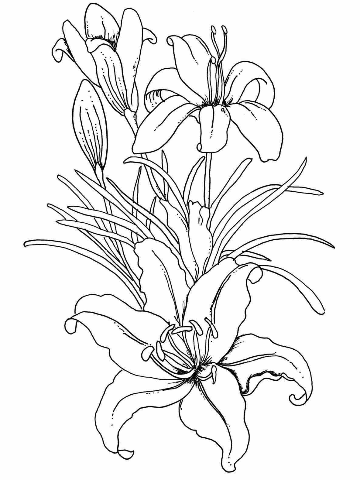 1185x1580 Drawing Flower Coloring Pages For Kids Best Pictures To Print How