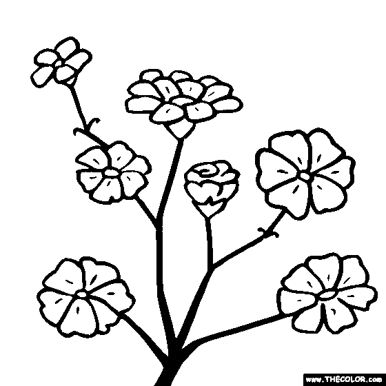 560x560 Flower Coloring Pages Color Flowers Online Page 1