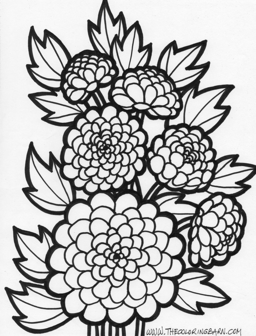 1000x1312 Large Flower Coloring Pages Ideas About On Big Flower Coloring