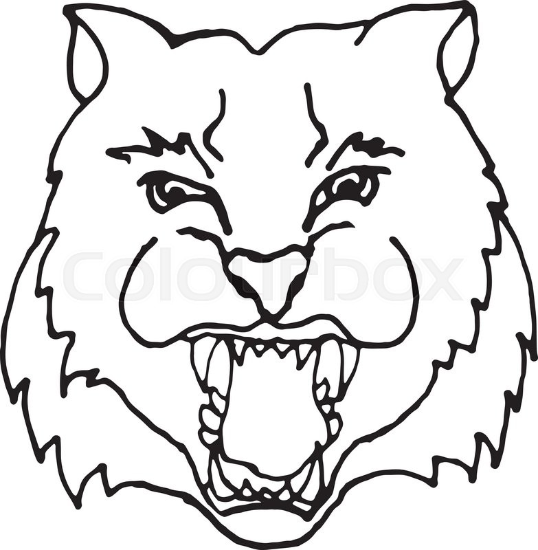 783x800 Hand Draw Head Screaming Tiger With Big Teeth In Black And White