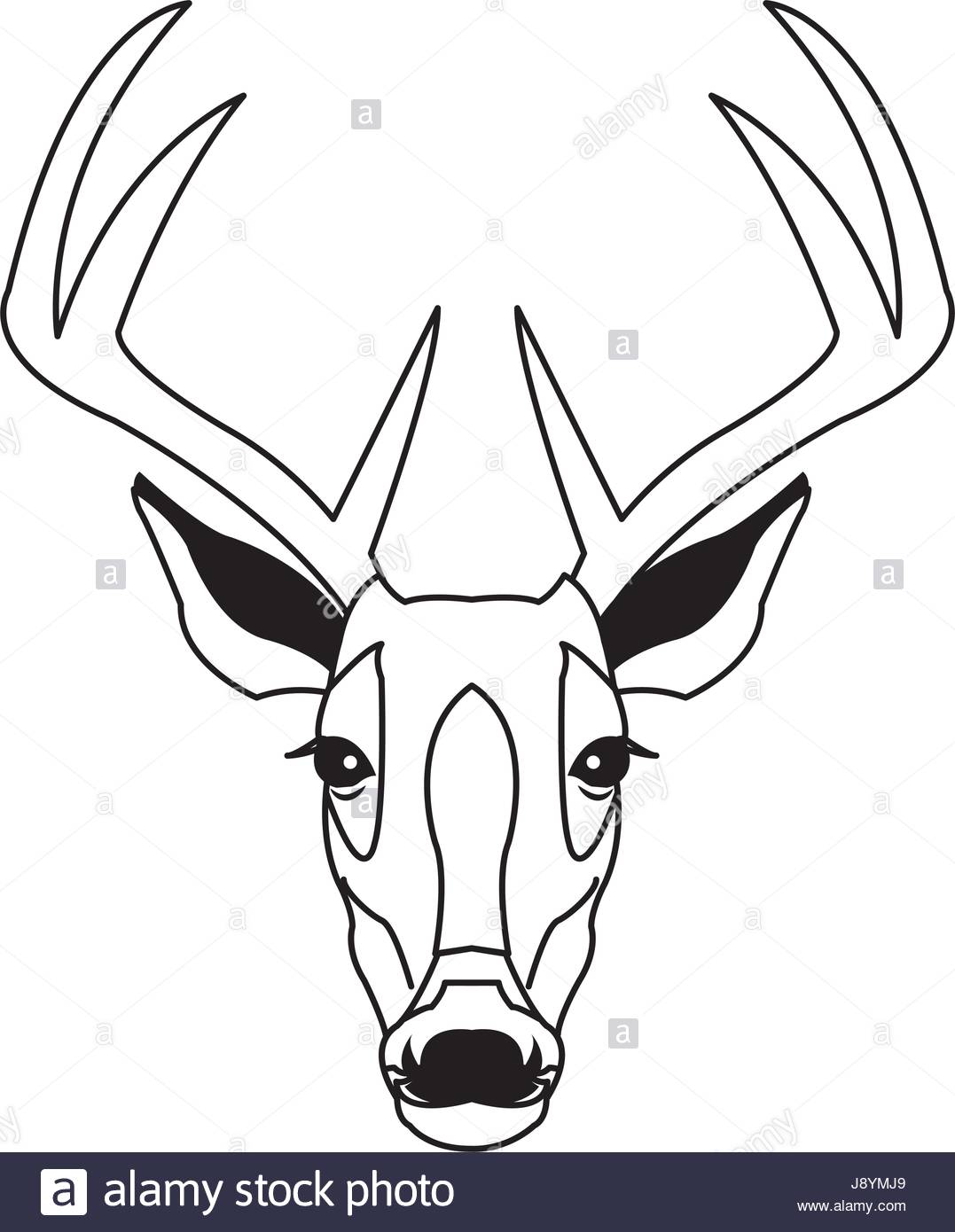 1077x1390 Hand Drawn Graphic Sketch Illustration Of A Deer Head With Big