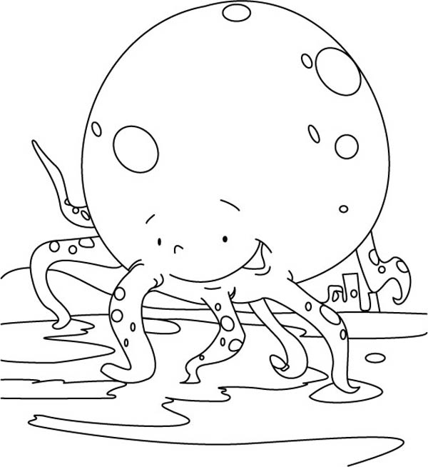 600x654 Big Head Octopus Coloring Page Color Luna