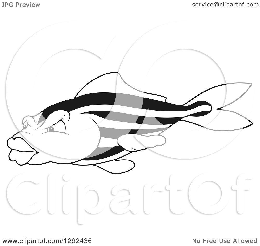 1080x1024 Clipart Of A Black And White Striped Fish With Big Lips