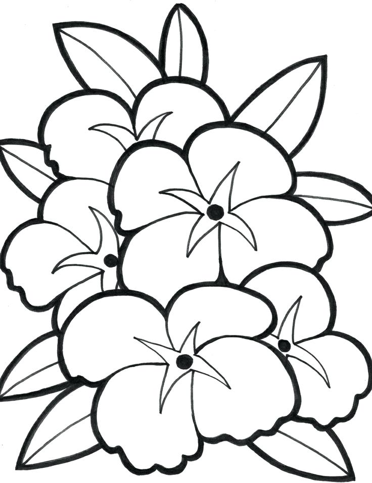 736x956 Entertaining Coloring Pages Of Flowers Image Beautiful Best Easy