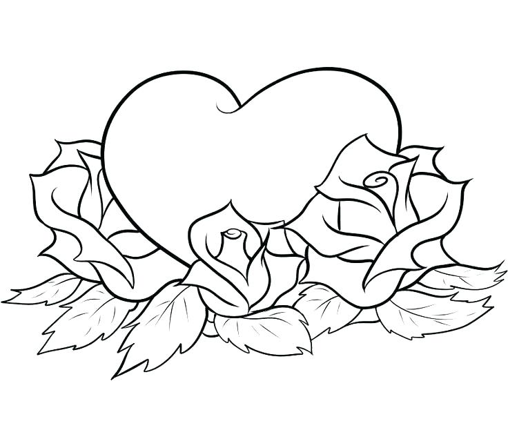 736x620 Rose Coloring Books And Big Flower Coloring Pages Big Beautiful