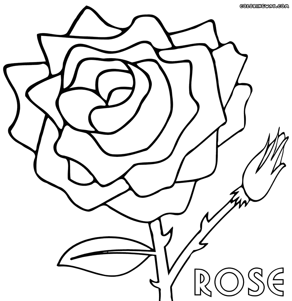 971x1000 Rose Coloring Pages Coloring Pages To Download And Print