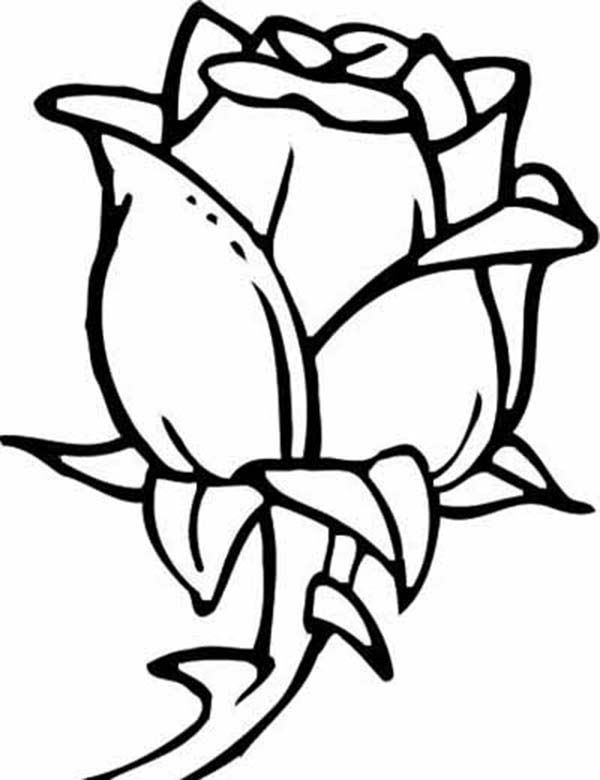 600x780 Coloring Page Of A Rose Big Rose Coloring Pages Big Free Printable