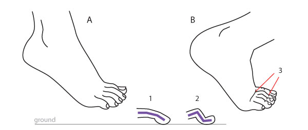 600x255 Human Anatomy Fundamentals How To Draw Feet