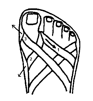 300x325 Island Sandals History, Instructions And Maintenance For Leather