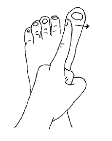 230x289 Leg Ankle Foot And Toe Stretches