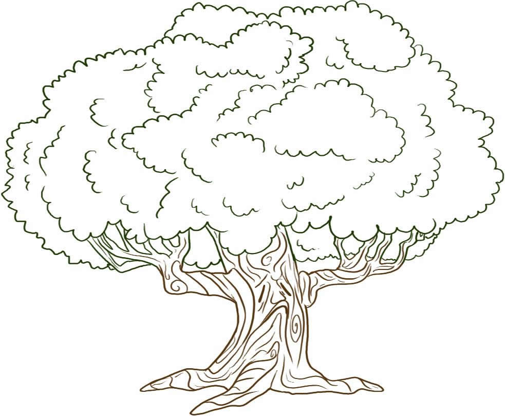 983x809 Drawn Tree Big Tree