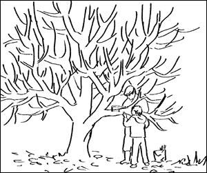 300x251 Treasures Of The Kingdom, Number 57 (Summer 2012) Gt The Apple Tree