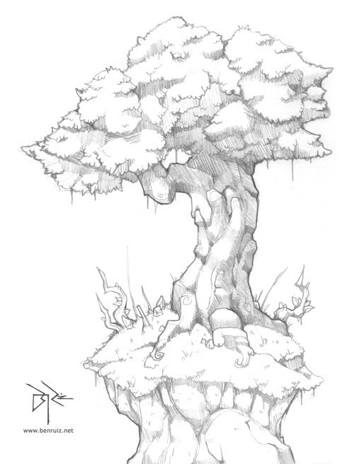 500x655 Big Tree By Andreapa. This Ceiba Pentandra Emerges