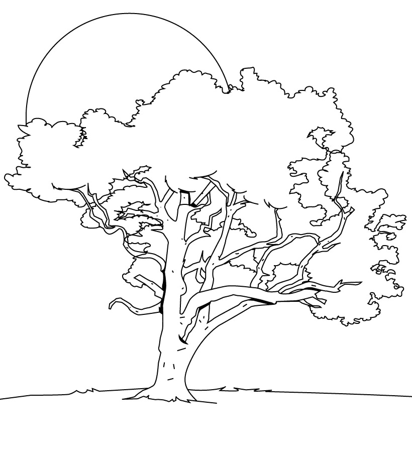 820x912 Big Tree Coloring Pages Big Christmas Tree Coloring Pages