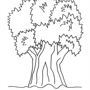 300x300 Big Tree Of Nature Coloring Page Color Luna