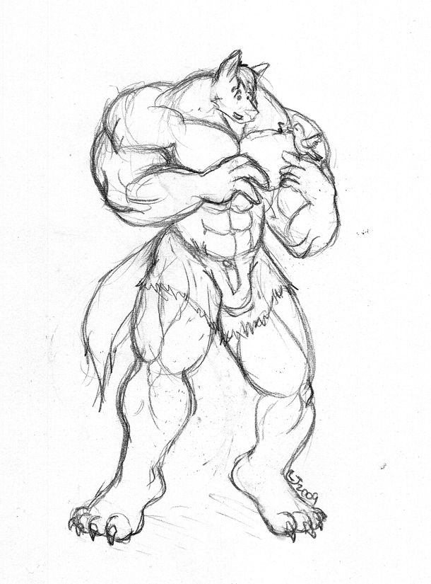 610x825 Big Wolf, Little Bird Sketch By Caseyljones