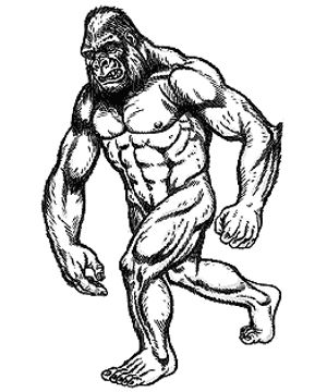 Bigfoot Drawing