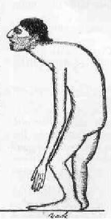 217x428 Bigfoot, Yeti, And The Yaks Peron Rants