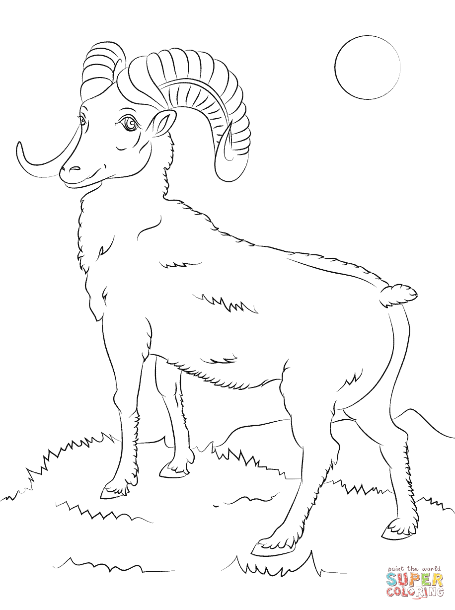 916x1228 Mountain Bighorn Sheep Coloring Page Free Printable Coloring Pages