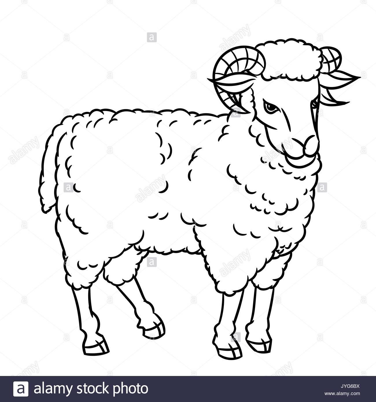 1300x1390 Sheep Drawing Stock Photos Amp Sheep Drawing Stock Images
