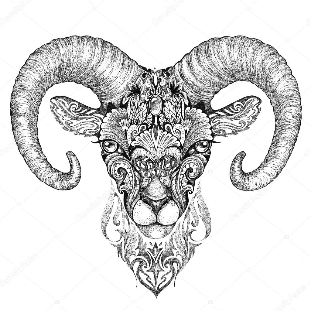 1024x1024 Mountain Sheep, Argali, Black And White Ink Drawing Stock Photo