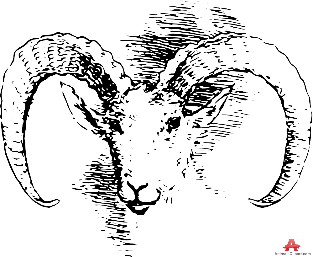 999x819 Bighorn Sheep Drawing Clipart Free Clipart Design Download