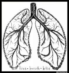 236x248 Thought We'D Share A Drawing Of The Workings Of A Cyclists Brain