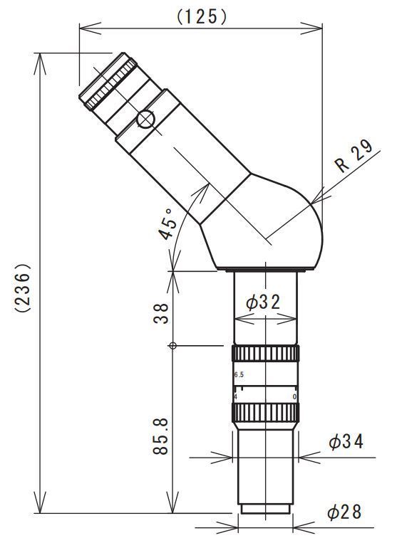 557x763 Mm Zl 45 Zoom Microscope