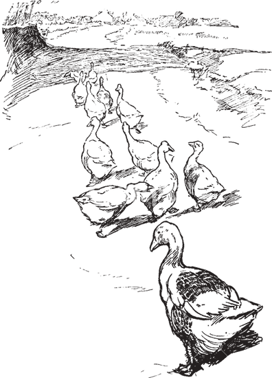 396x550 Optical Path In A Binocular Microscope, Vintage Engraving