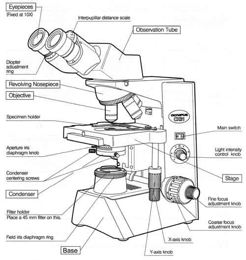 500x529 Microscope Parts Diagram Geneva