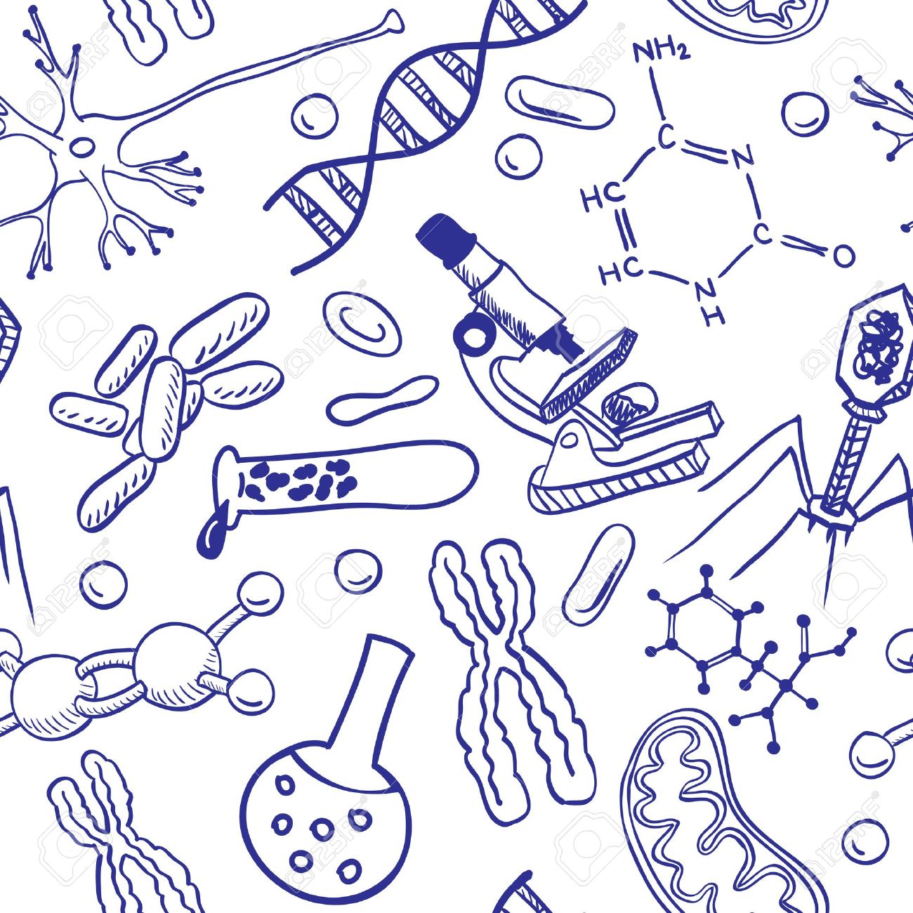 1300x1300 Biology Drawings On Seamless Pattern