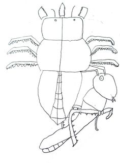 236x320 Insect Biology Drawing. Drawing Of The Beetle By G.1 Kid. Kid Art