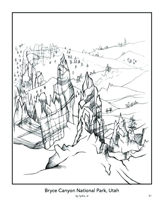 535x696 Biology Coloring Book Painted Lizard Chameleon Reptile Drawing