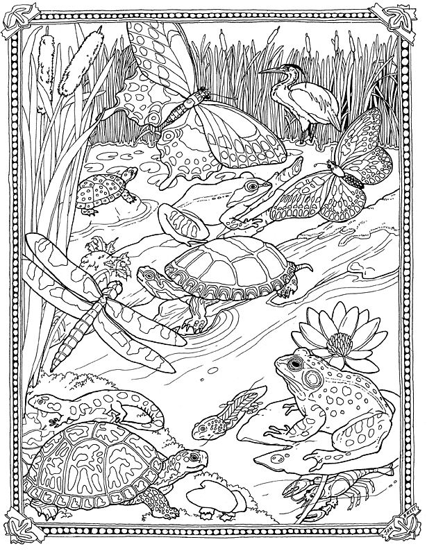 615x794 Biology Coloring Pages Colouring For Pretty Print Draw Kids