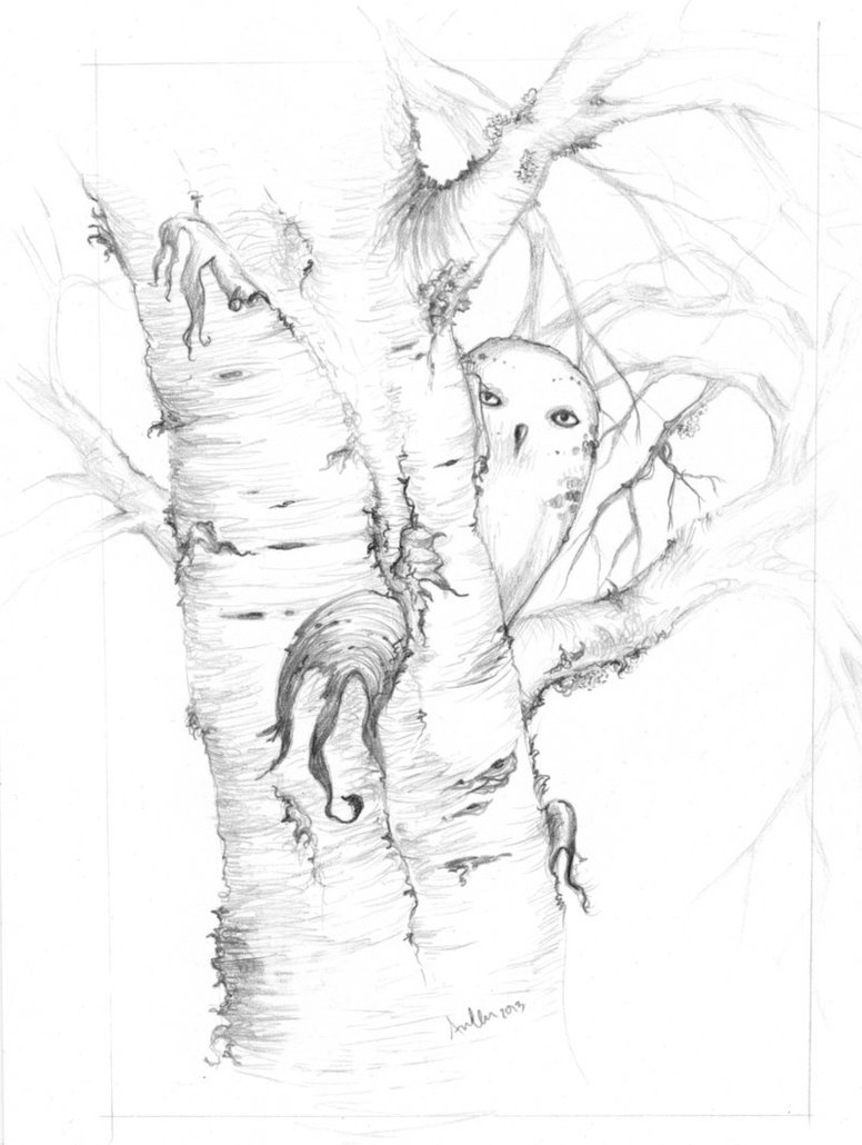 776x1030 Owls And Birch Trees By Bitofforest