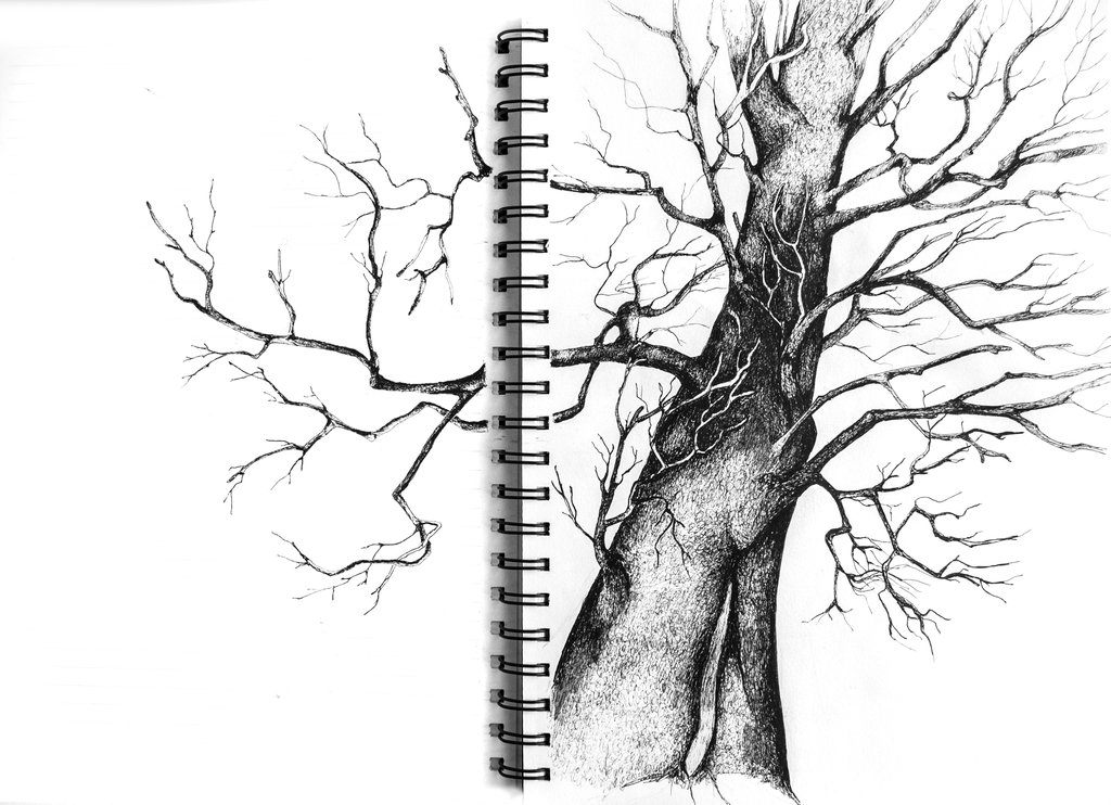 1024x742 Under The Tree (Sketchbook Ink Drawing) By Darkcreature82