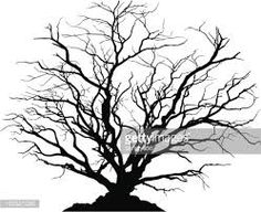 236x192 Birch Tree Sketch