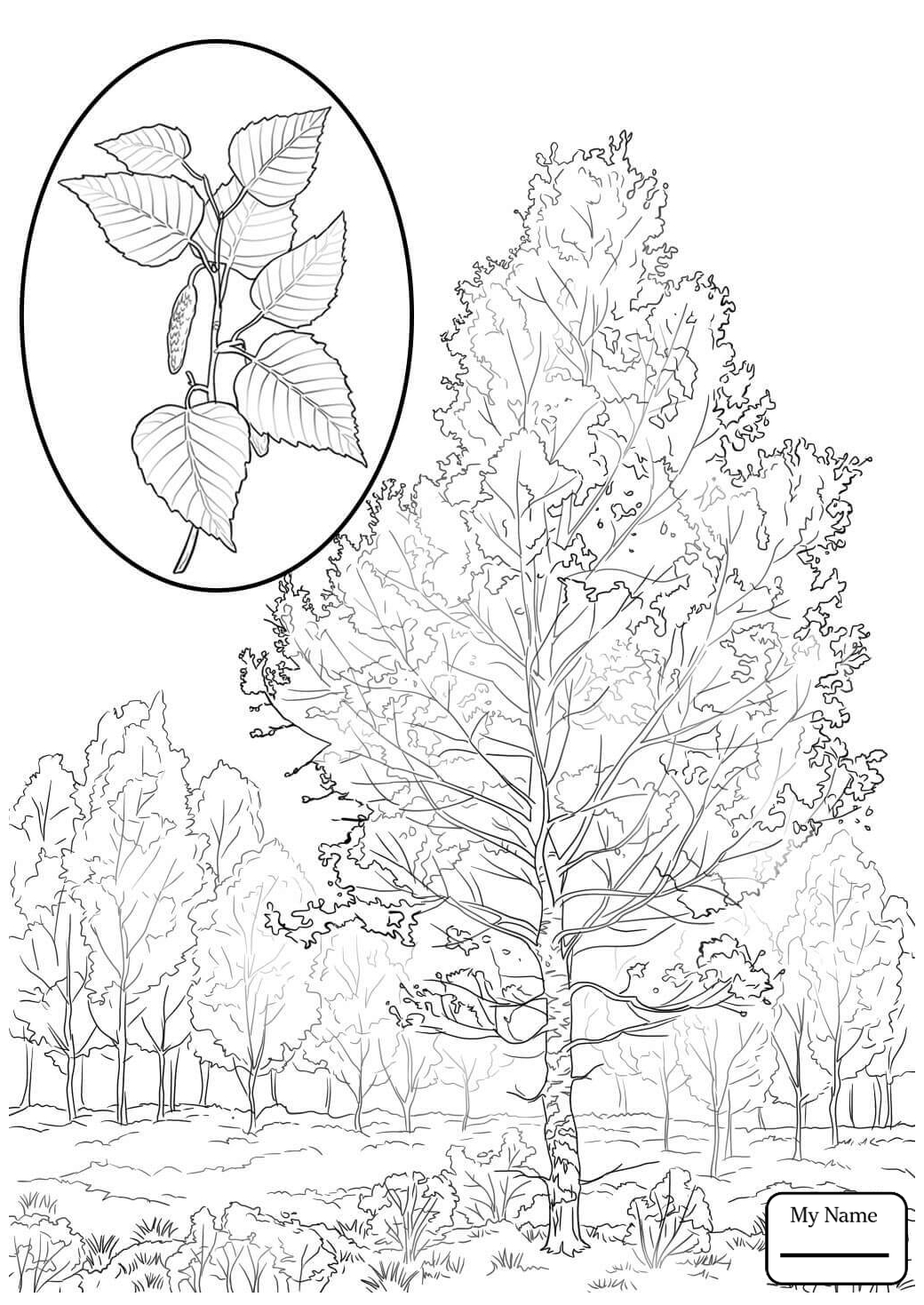 1040x1469 Trees Leaves