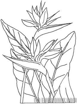 259x350 Flowers And Nature