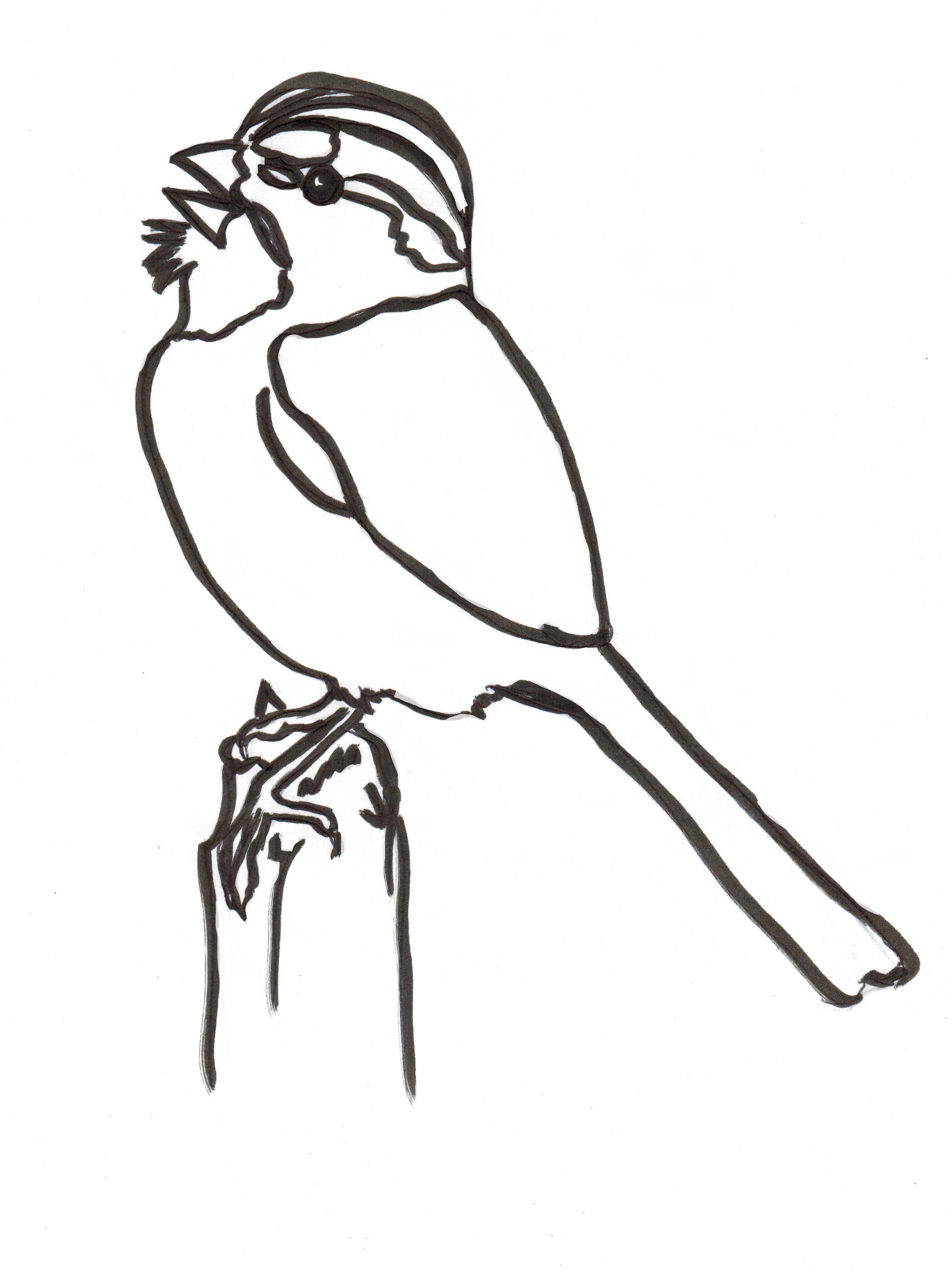 3775x5046 More) Simple Bee, Bird, And Flower Drawings Standingoutinmyfield