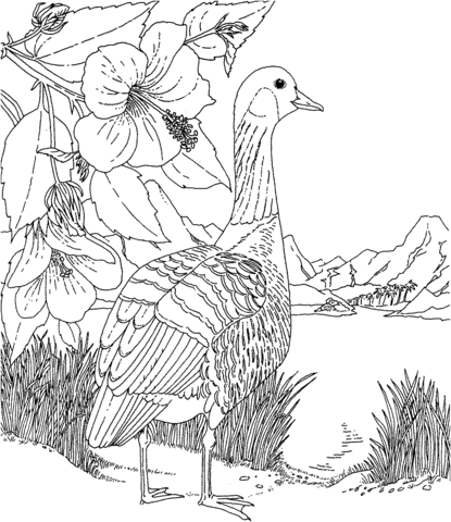 415x480 Nene And Hibiscus Hawaii State Bird And Flower Coloring Page
