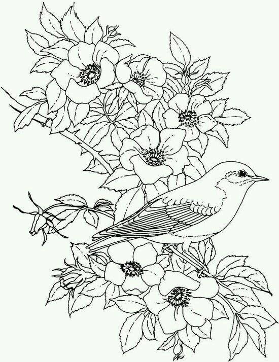 550x714 797 Best Grilles Pergamano Images On Embroidery