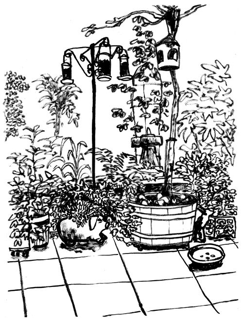 Bird Bath Drawing